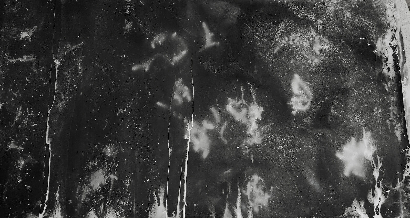 Современное искусство, фотография, видео, инсталляции. Соленая луна кудряво трубит в рукавах / Енисей. Без названия