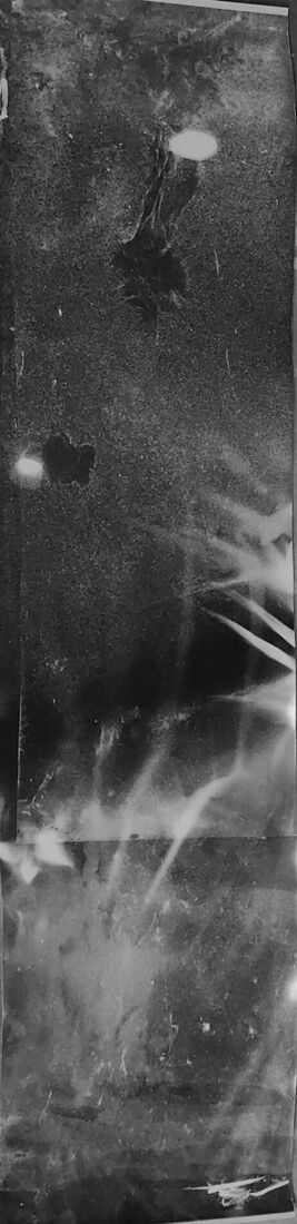 Современное искусство, фотография, видео, инсталляции. Соленая луна кудряво трубит в рукавах / Енисей. Без названия