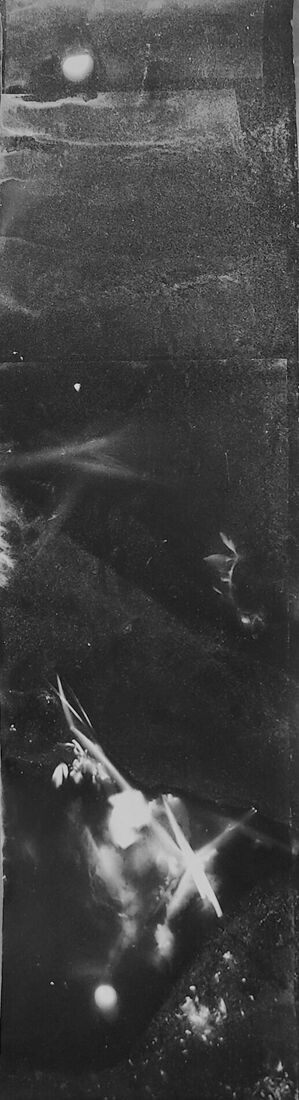 Современное искусство, фотография, видео, инсталляции. Соленая луна кудряво трубит в рукавах / Енисей. Без названия